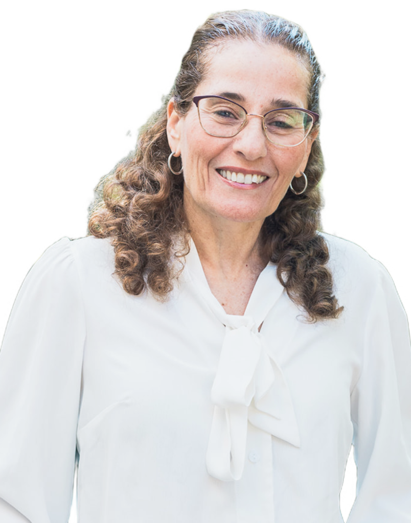 אריאלה זמיר